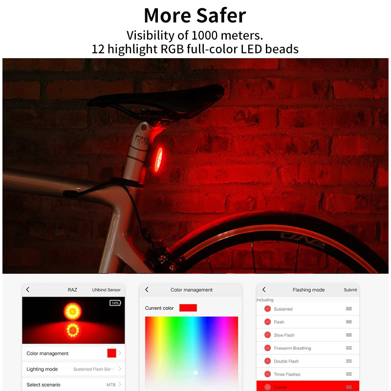 SHANREN RAZ Pro Bicycle Tail L - Cycling Gear Charging Station incelemesi ve fiyatı